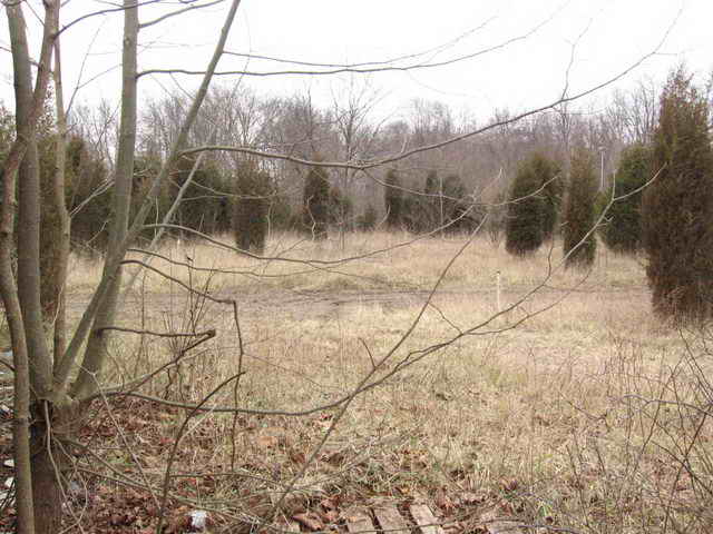Lake Drive-In - 2006 Photo (newer photo)